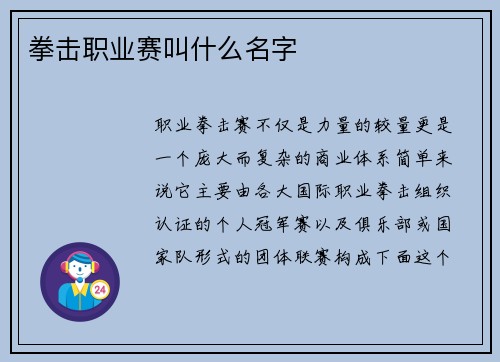 拳击职业赛叫什么名字